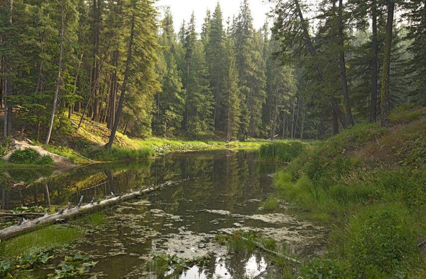 Round Lake State Park, Idaho, USA